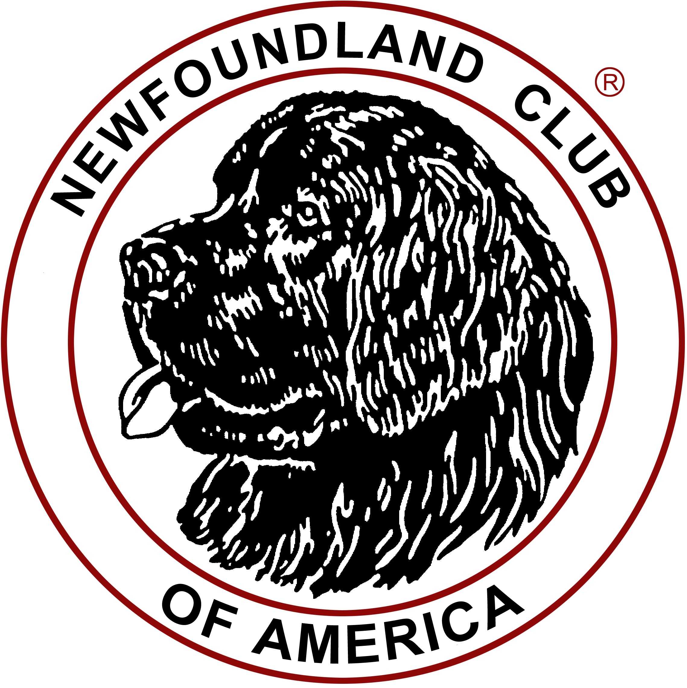 NCA logo